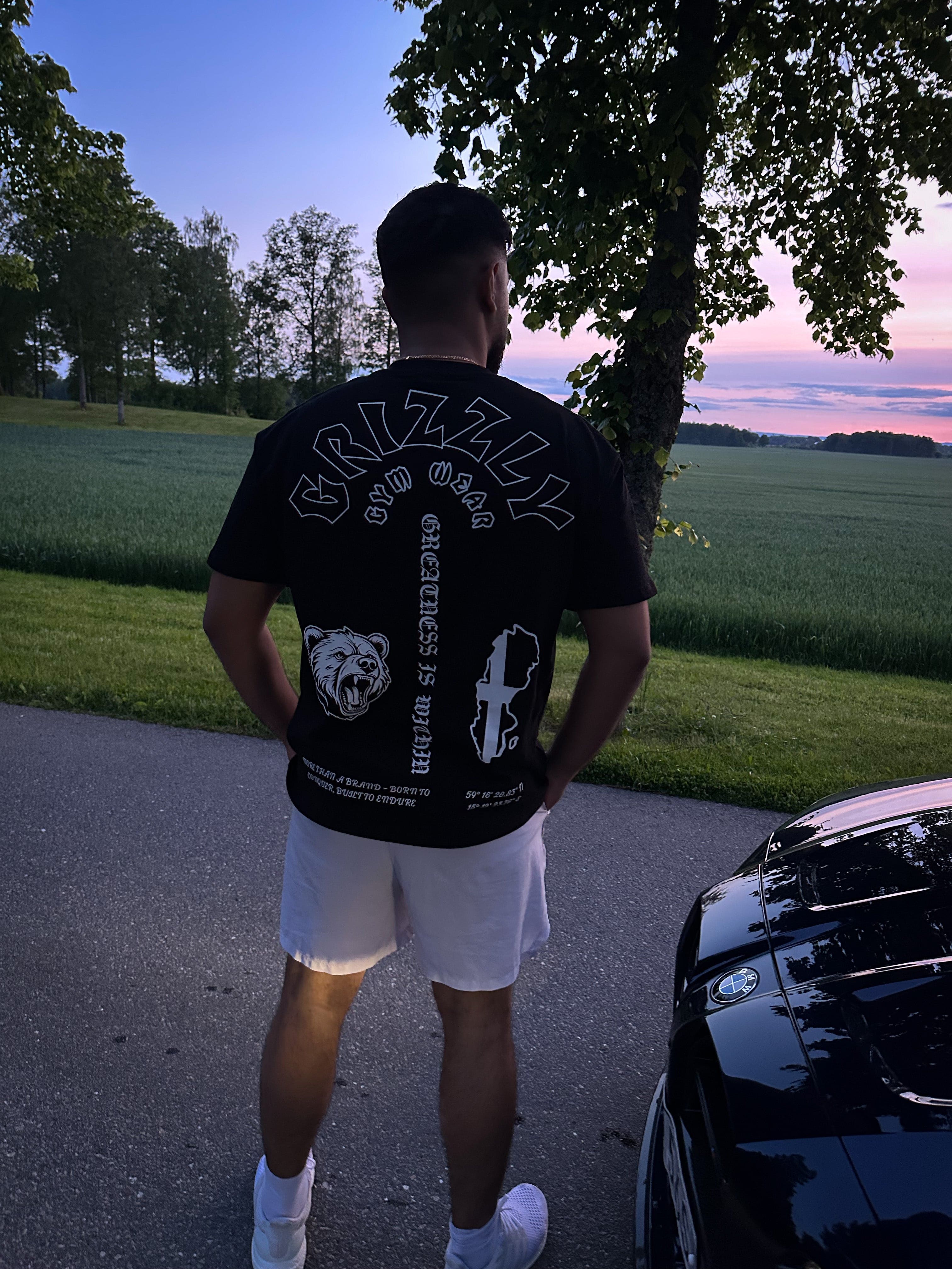 Echo of North Oversized Tee