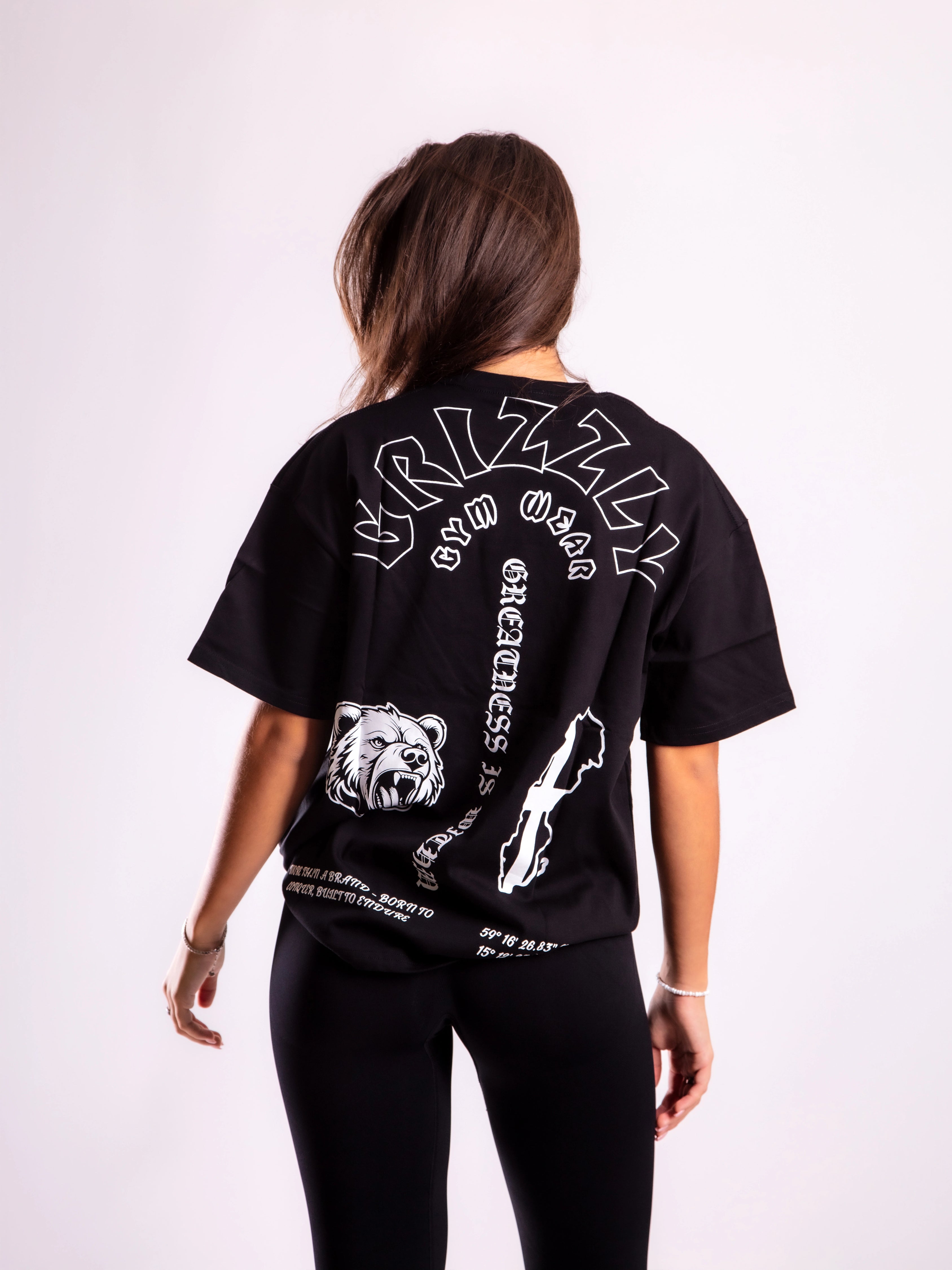 Echo of North Oversized Tee