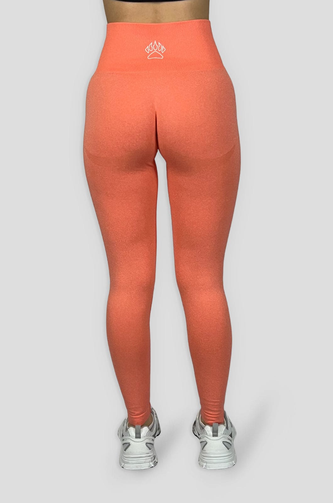 Smooth Seamless Leggings