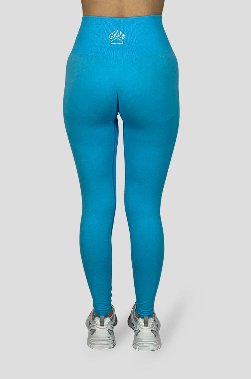 Smooth Seamless Leggings