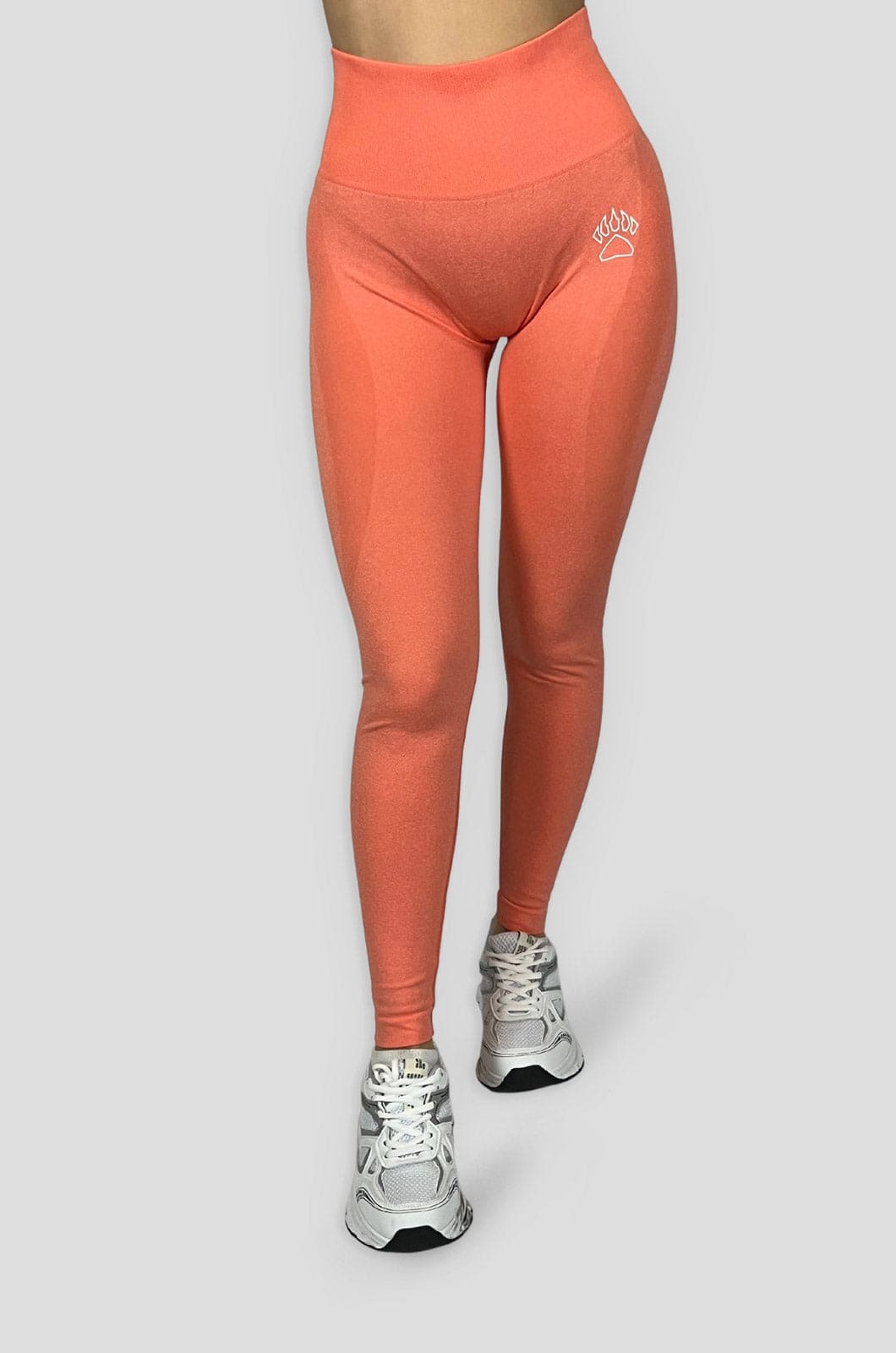 Smooth Seamless Leggings