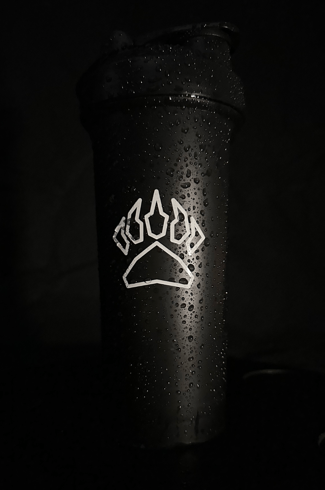 Din perfekta gymshaker