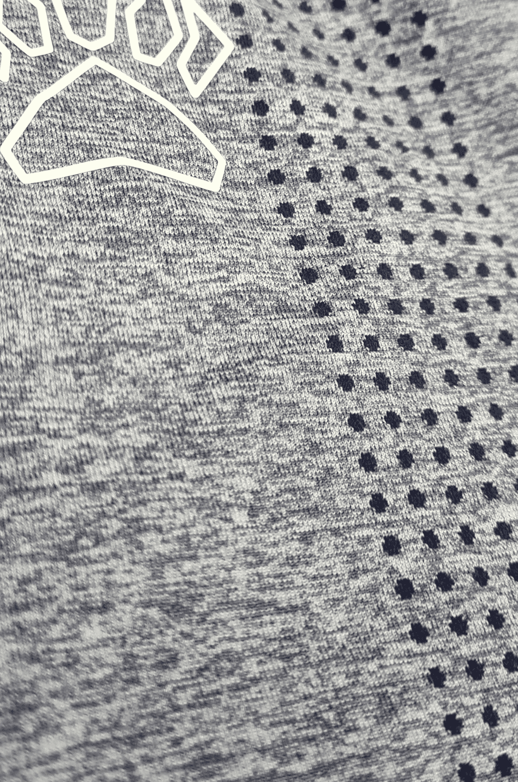 Required Seamless Leggings