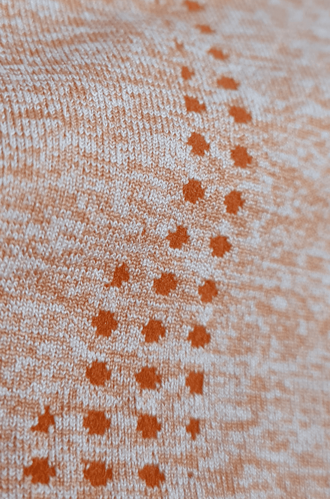 Required Seamless Leggings