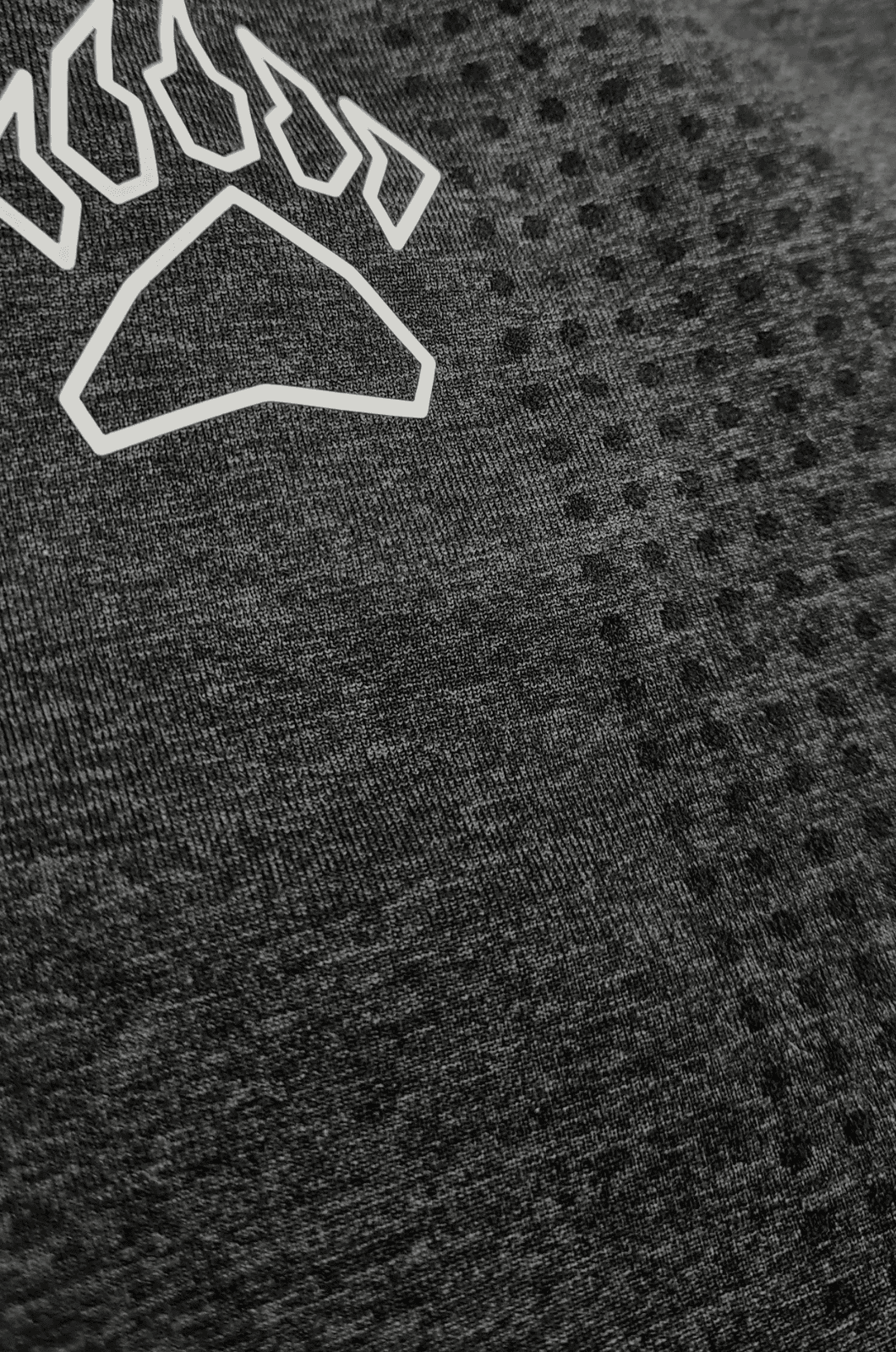 Required Seamless Leggings