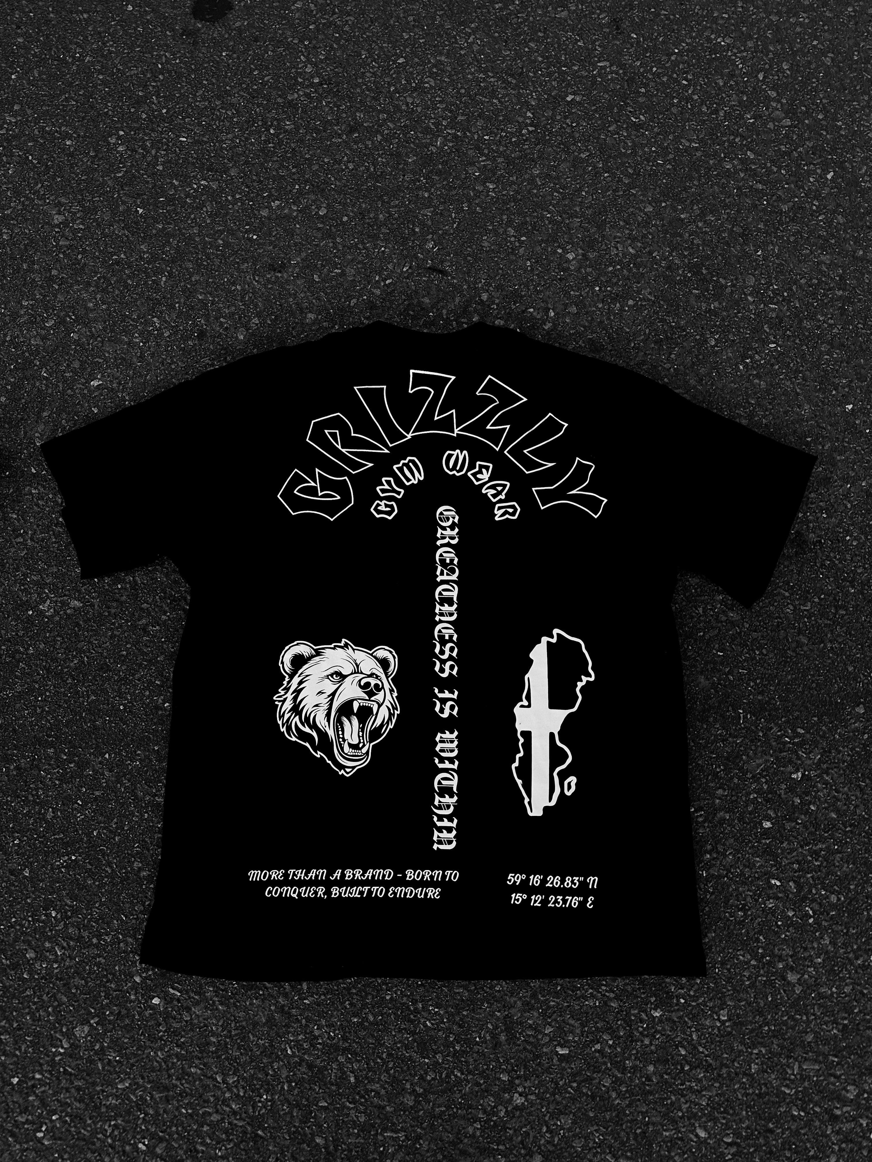 Echo of North Oversized Tee